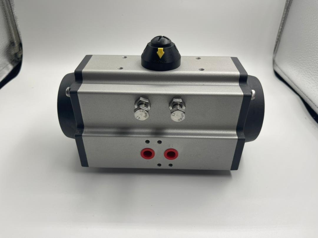 WhatsApp Image 2025-12-03 at 5.45.50 PM